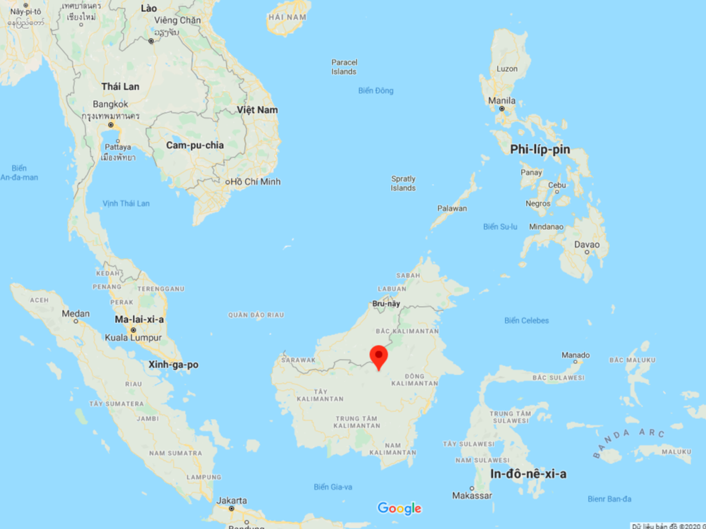 Bản đồ trầm hương Kali Indo Kalimantan Indonesia