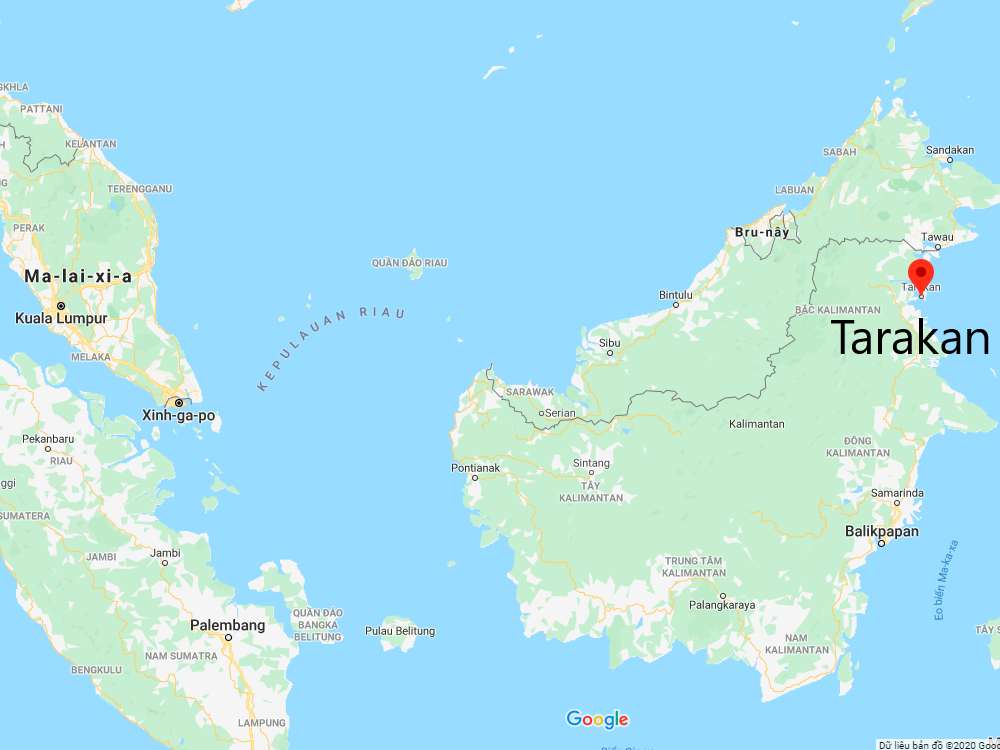 Vị trí trầm hương vùng Tarakan Indonesia