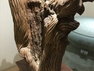 khối trầm hương tại bảo tàng atc